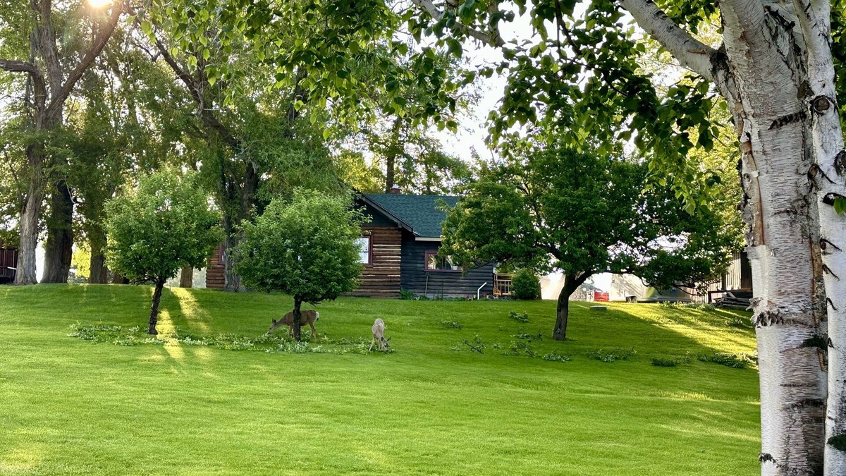 Polson Cabin | Charming rustic cabin with shared lake access and golf course views.