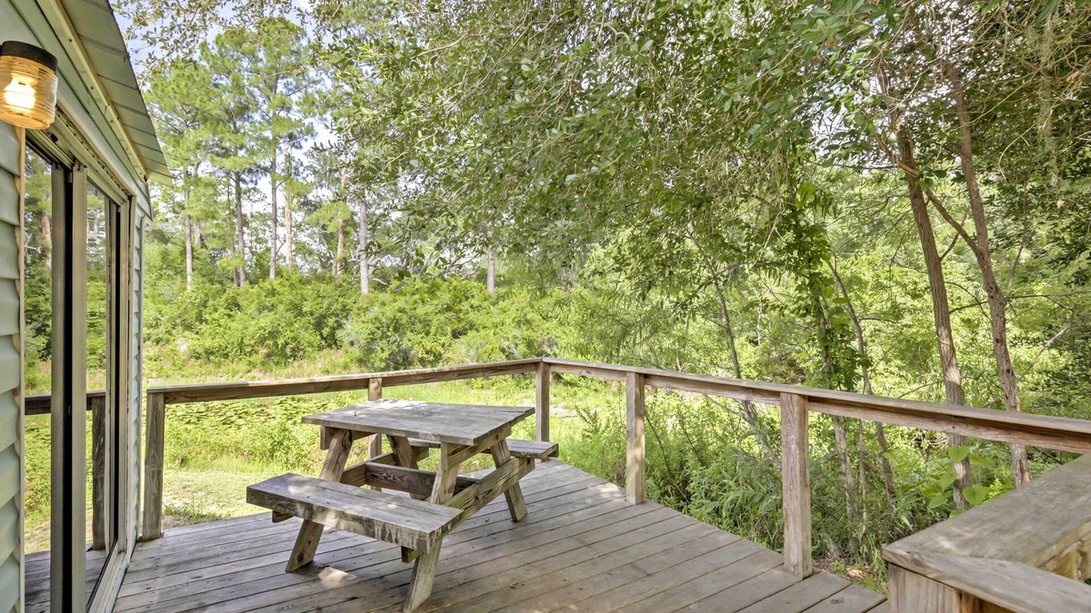 Silver Springs Cabin | Charming Silver Springs Cabin w/Forest Views!