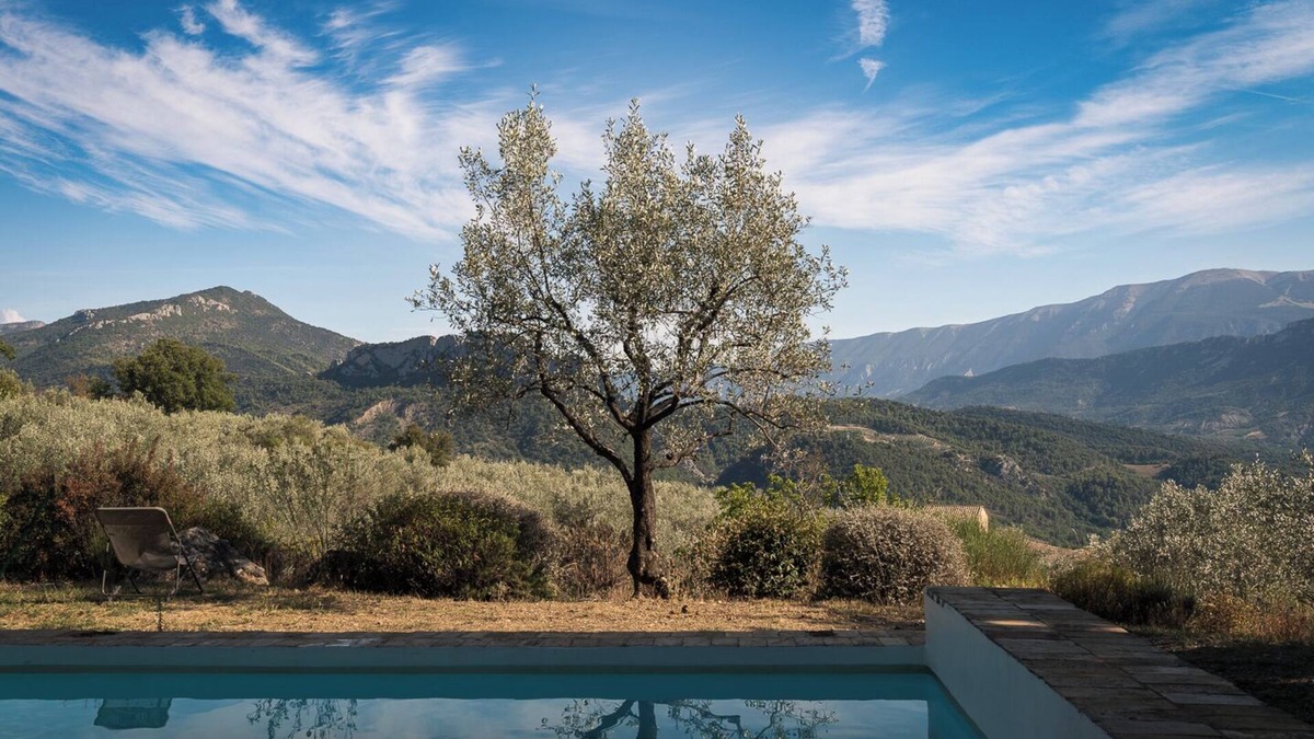 Buis-les-Baronnies House | Charming Stone House set in its own olive grove, with large pool & amazing views