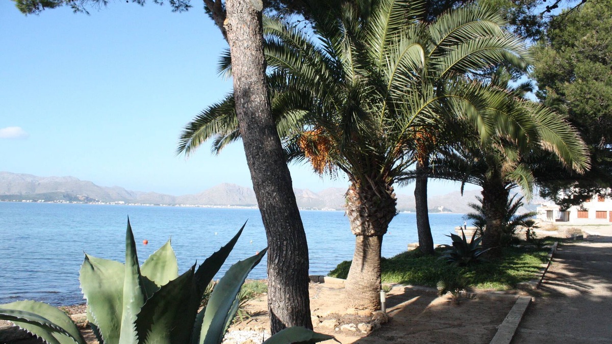 es Bacares House | Charming villa with pool near the sea new build and modern comfort and pretty de