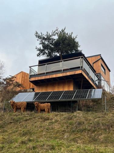 Nova Lubovna Ski Chalet | Chata Dorotka na sosne