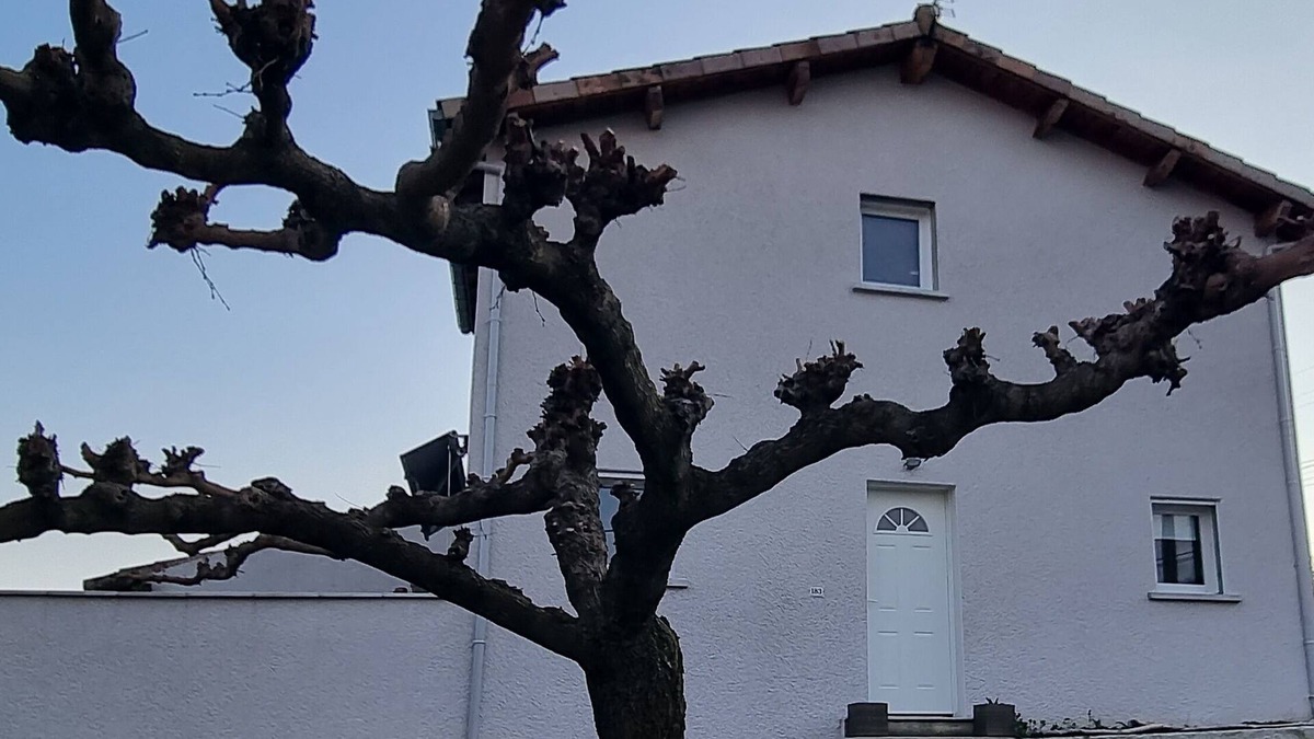 Vesseaux House | Chateau/Country House