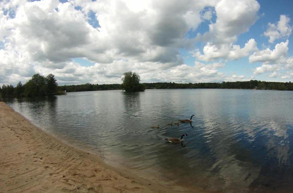Kahl Apartment | CHEMNITZ - Haus am See mit Sandstrand nahe Rhein-Main und Spessart