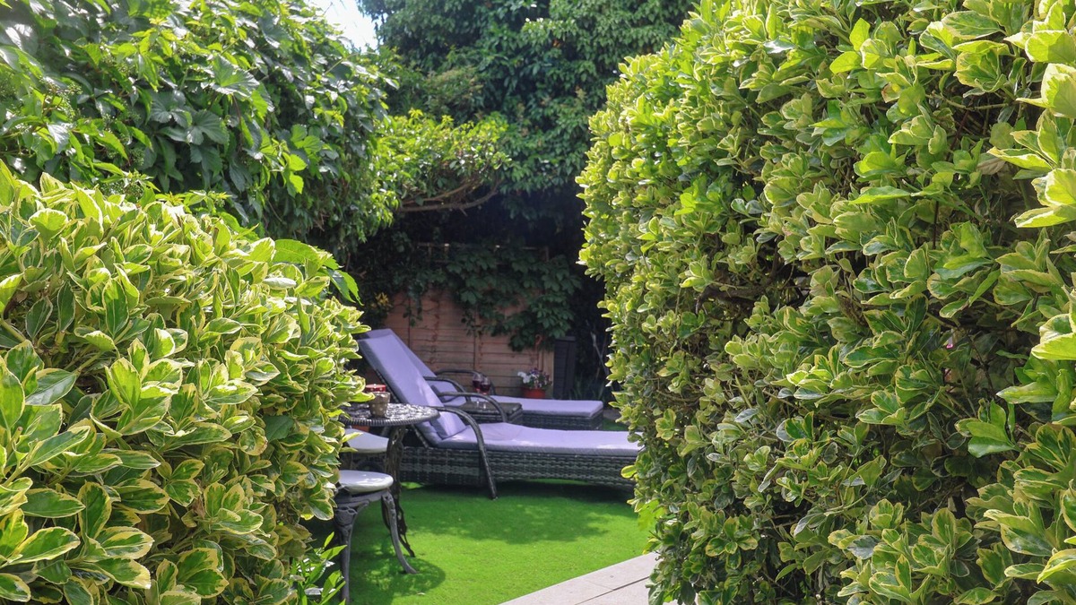 Martlesham Heath Cottage | Cherry Tree Cottage, Woodbridge