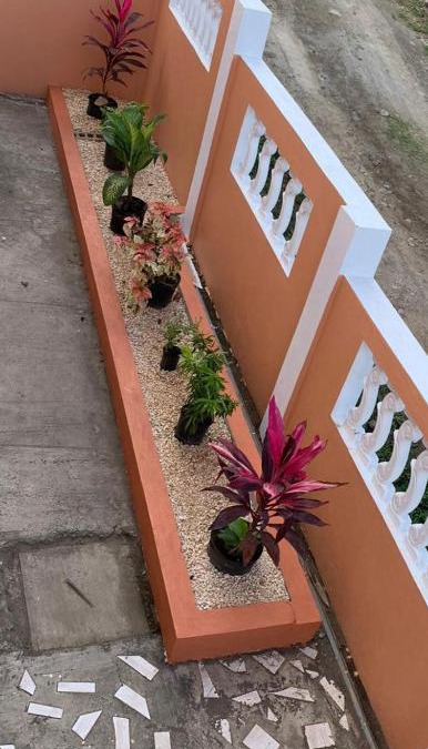 Oranjestad Apartment | Cherry Tree Villa