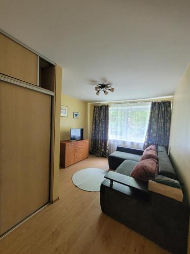 Klaipeda Apartment | Chestnut Blossom Flat