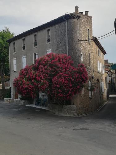 Lagrasse House | Chez Shona