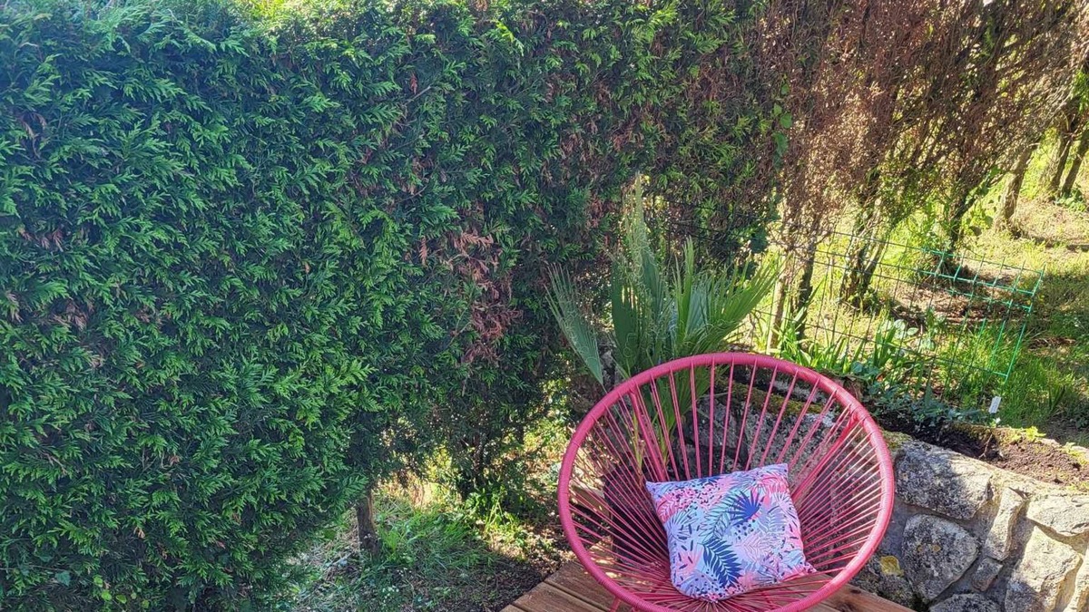 Cognac Apartment | Chez T-e-o