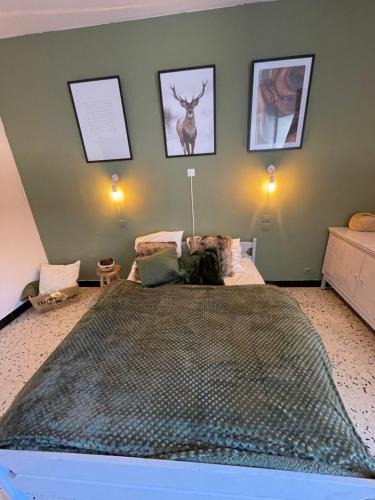 Fraisse-des-Corbieres Bed & Breakfast | Chez Tatie Ménie