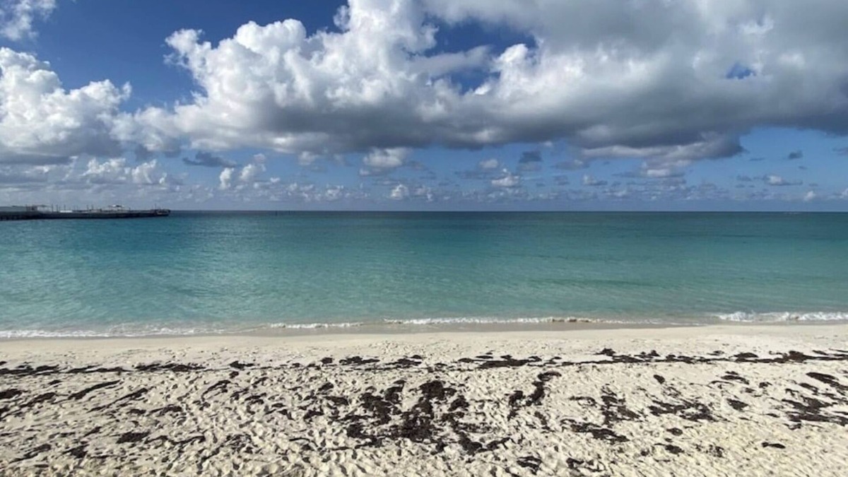 Alice Town Condo | Chic 2-bedroom condo in brilliant Bimini Bay, steps from the Beach, WiFi, AC