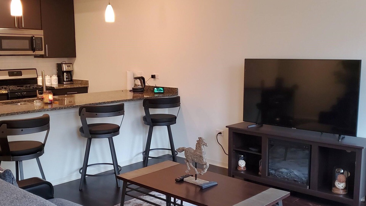 Evanston Condo | Chicago's Hidden Treasure, "EVANSTON, IL"