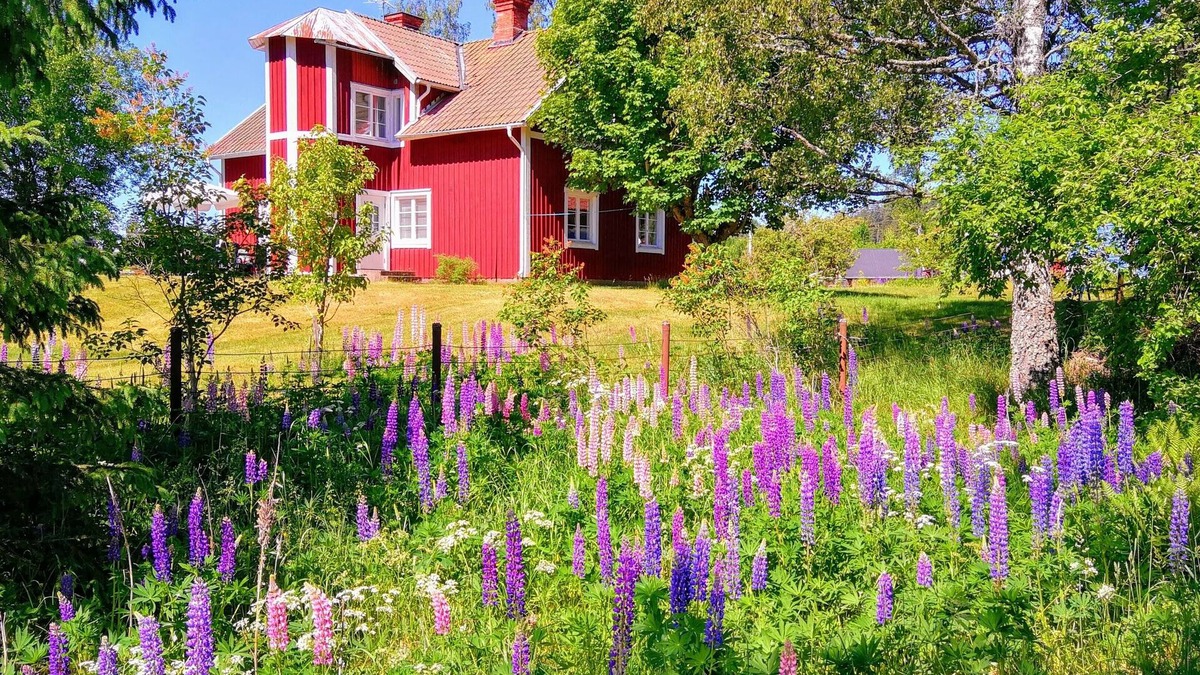 Vetlanda Cottage | Child friendly house - suitable for 2 families - on a sunny spot, lake, boat