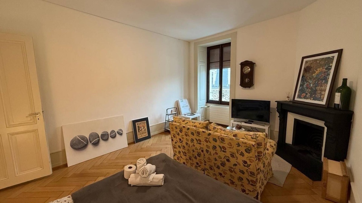 Geneva Apartment | “Chopper” Lovely Apartment in Geneva Downtown!