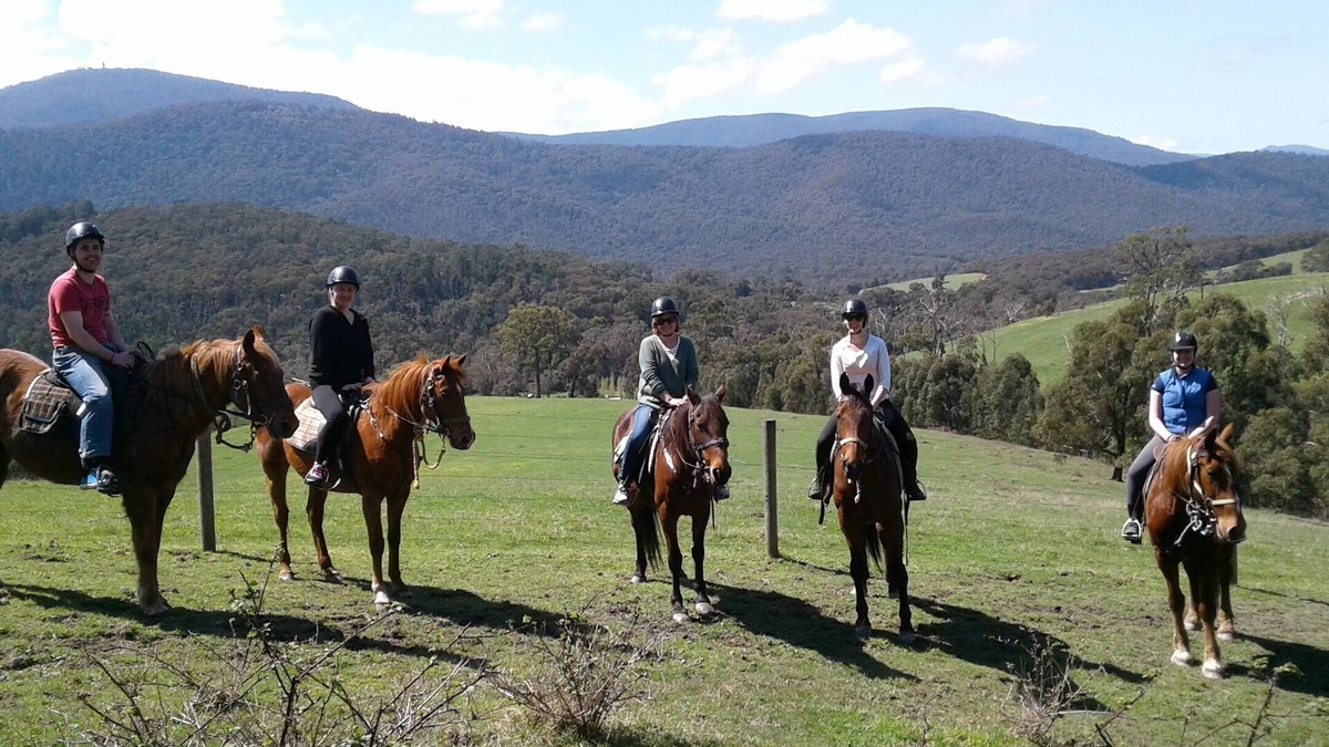 Chum Creek Cottage | Chum Creek Hut - Luxury Country Cottage on beautiful horse property.