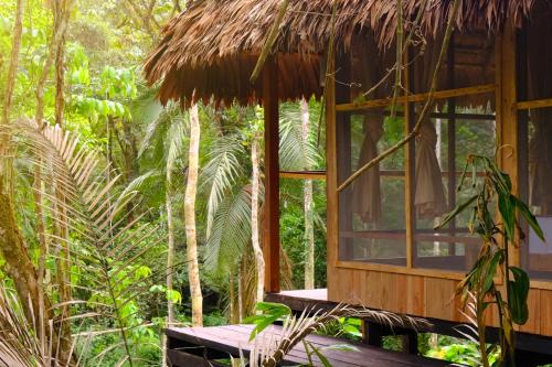 Leticia Cabin | CHUNAKI ECOLODGES - Authentic Activities and Food in the Amazon