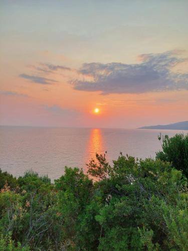 Marina di Pisciotta House | Cilento Paradise - Appartamento con terrazzo in Marina di Pisciotta