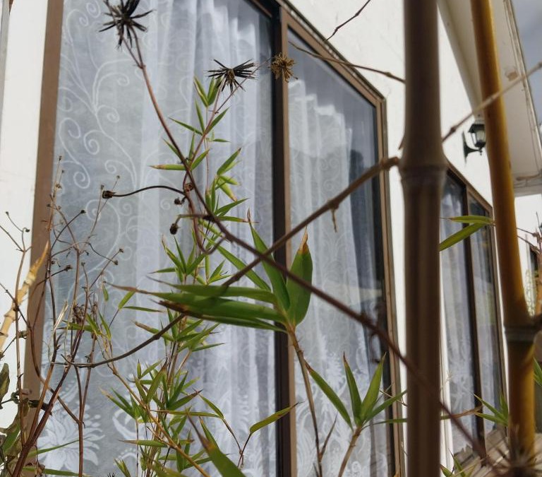Paihuano House | Cinnamon Elqui