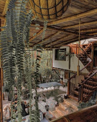 Mindo House | Cinnamon House