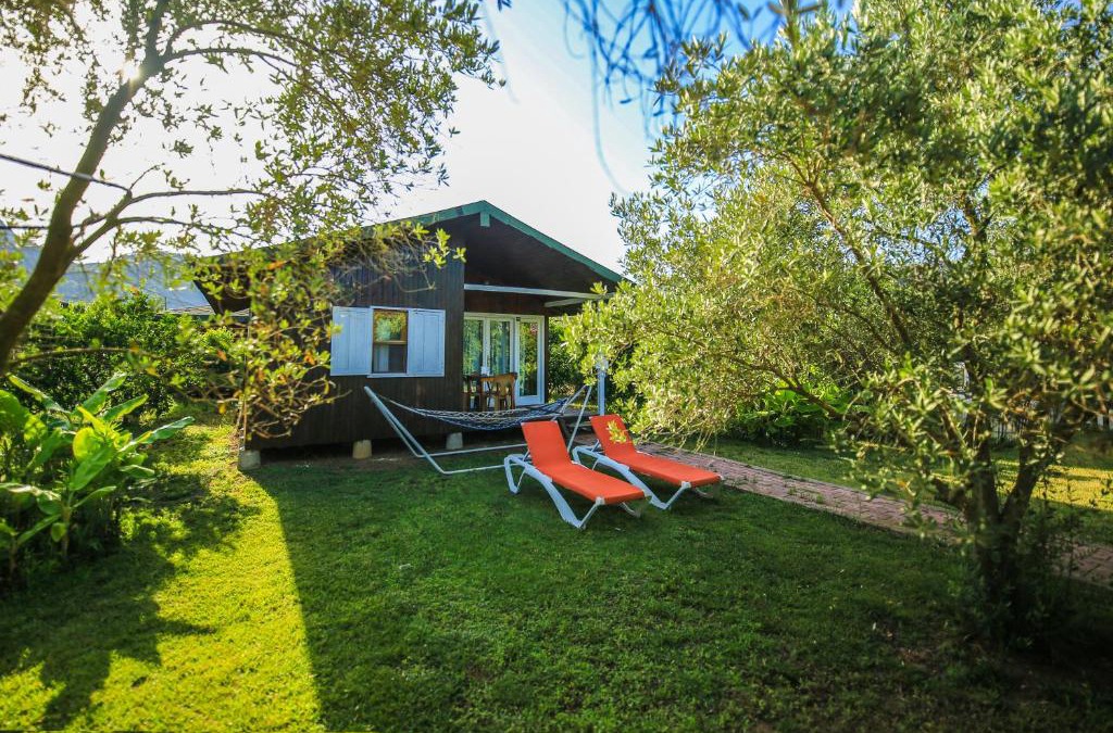 Cirali House | Cirali Zakkum Bungalow