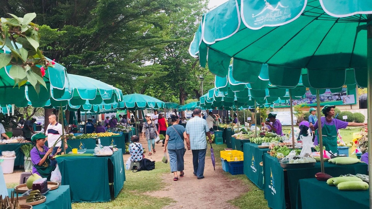 Surin House | City around with atmosphere of love, friendly people and lovely the elephant.