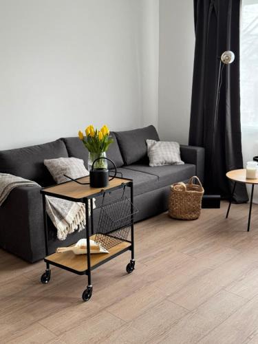 Jelgava Apartment | City Center Cozy Apartment
