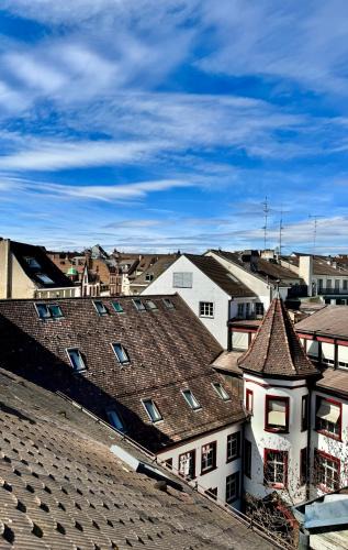 Basel City Centre Apartment | City Center Rooftop Balcony-Studio at town hall