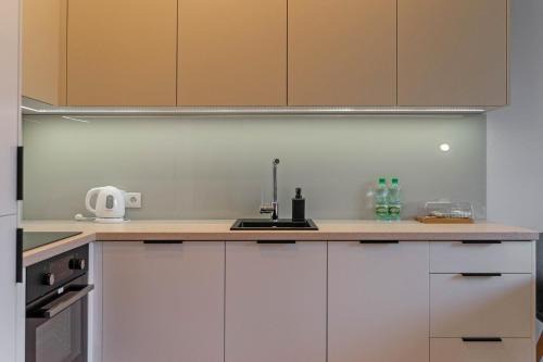 Srodmiescie Południowe Apartment | City Centre Piękna Street