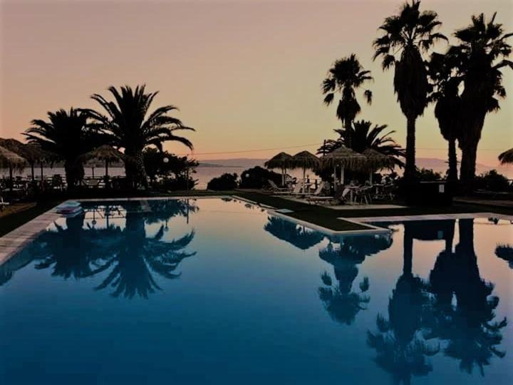 Petra Hotel | Clara Resort