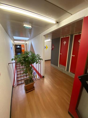 Cantepau Hotel | Class'Eco Albi