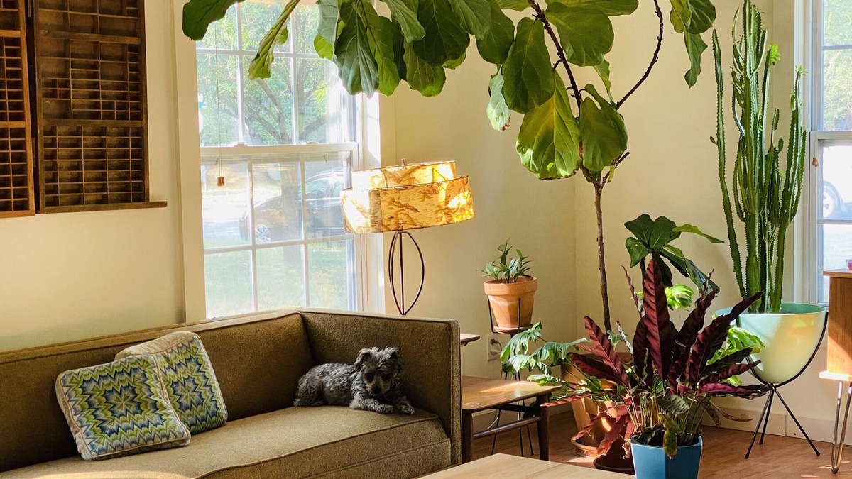Hyde Park House | Classic Austin Homebase