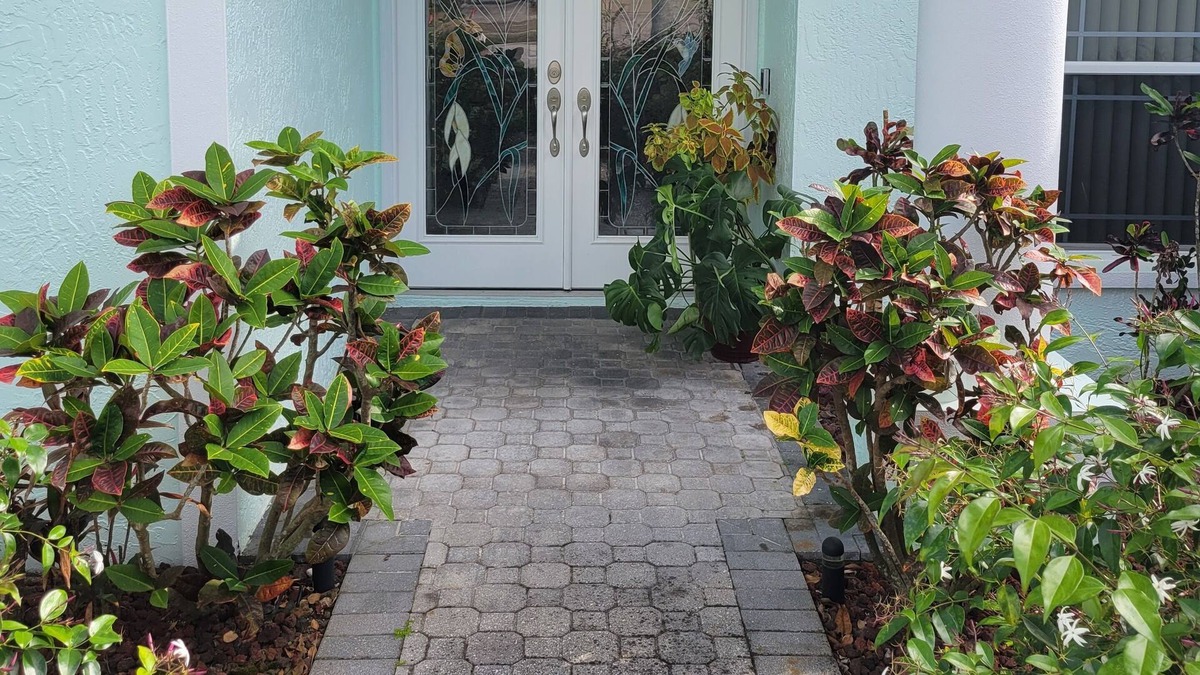 New Port Richey House | Classic Florida Home near Tampa/St Petersburg and beaches. Pet friendly!