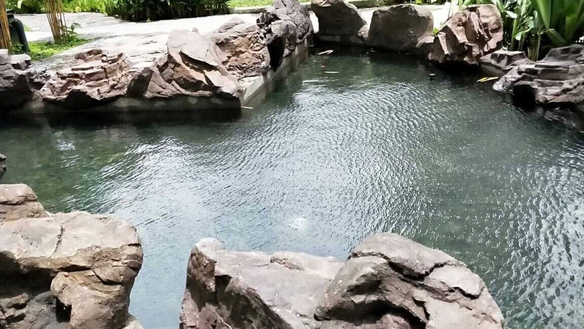 Luzon Apartment | Classy Studio at Acqua Livingstone