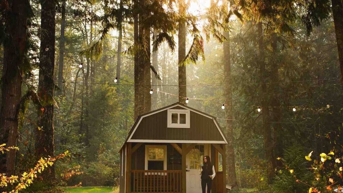 Index Apartment | Clay Baby- luxury shed conversion on the river