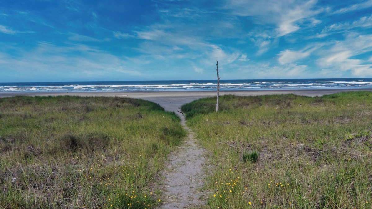 Grayland Cottage | CLEAN Beach Cottage + Beach Path!