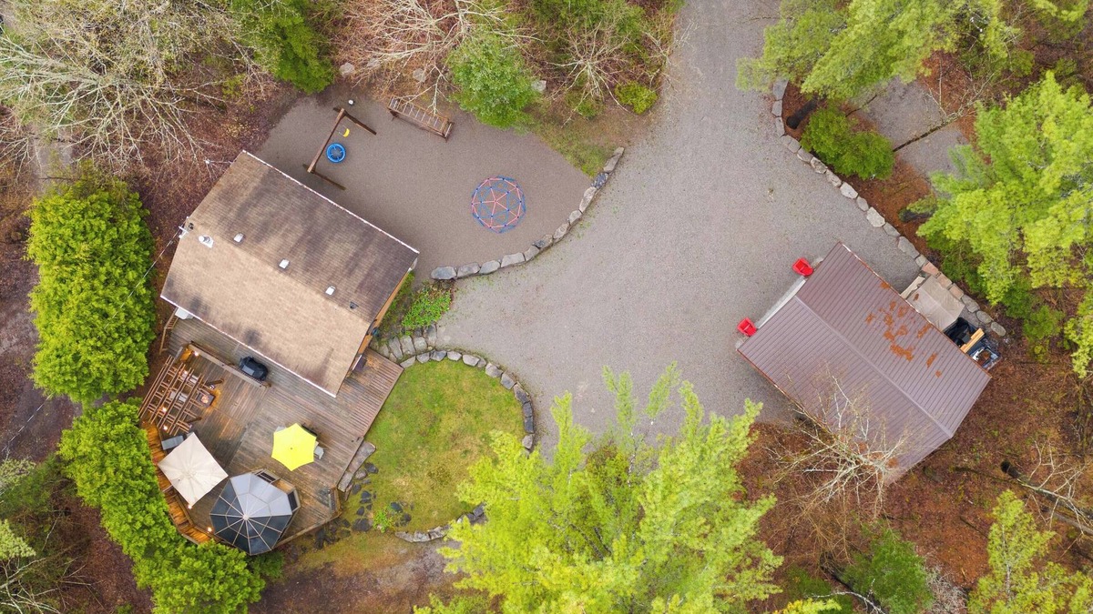 Trent Lakes Cabin | Clear Bay Cabinn Pet friendly log cabin, private 1.3 acres beach 4 min. drive.
