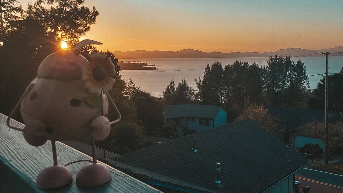 Soda Bay House | Clear Lake Casa Near Clear Lake State Park and Mount Konocti