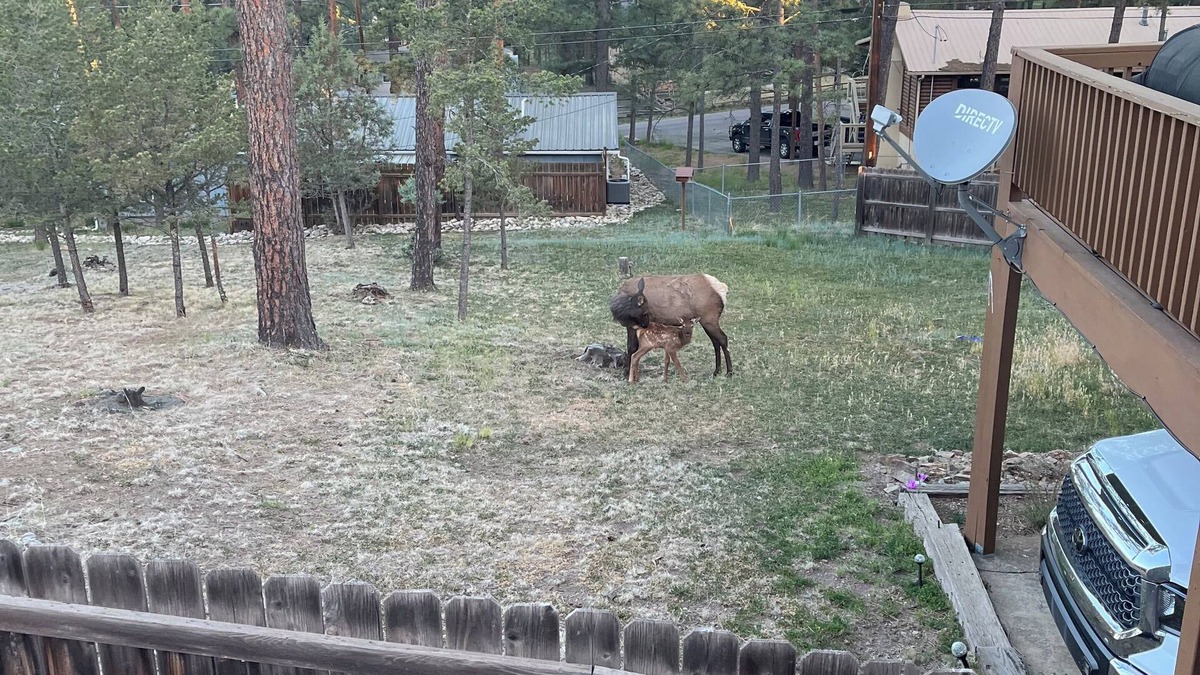 Ruidoso House | CLOSE TO EVERYTHING RUIDOSO HAS TO OFFER