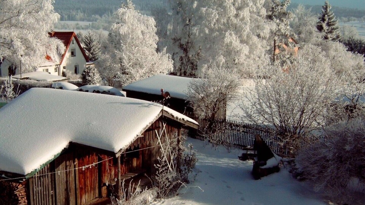 Nagel Apartment | Close to nature and a relaxed stay in the countryside on the edge of the forest