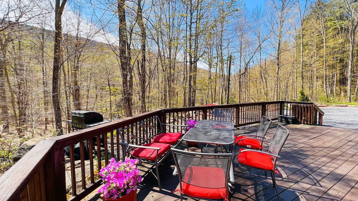 Shandaken Cabin | Close to Phoenicia, Woodstock Brewery, Belleayre, Mountain View, Backyard Stream