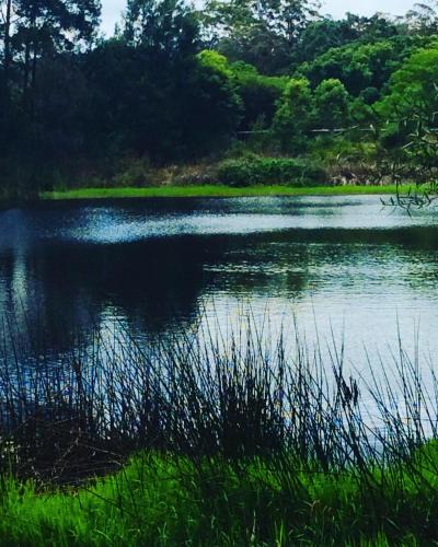 Ravensbourne Other | Cloudlake Mountain Retreat