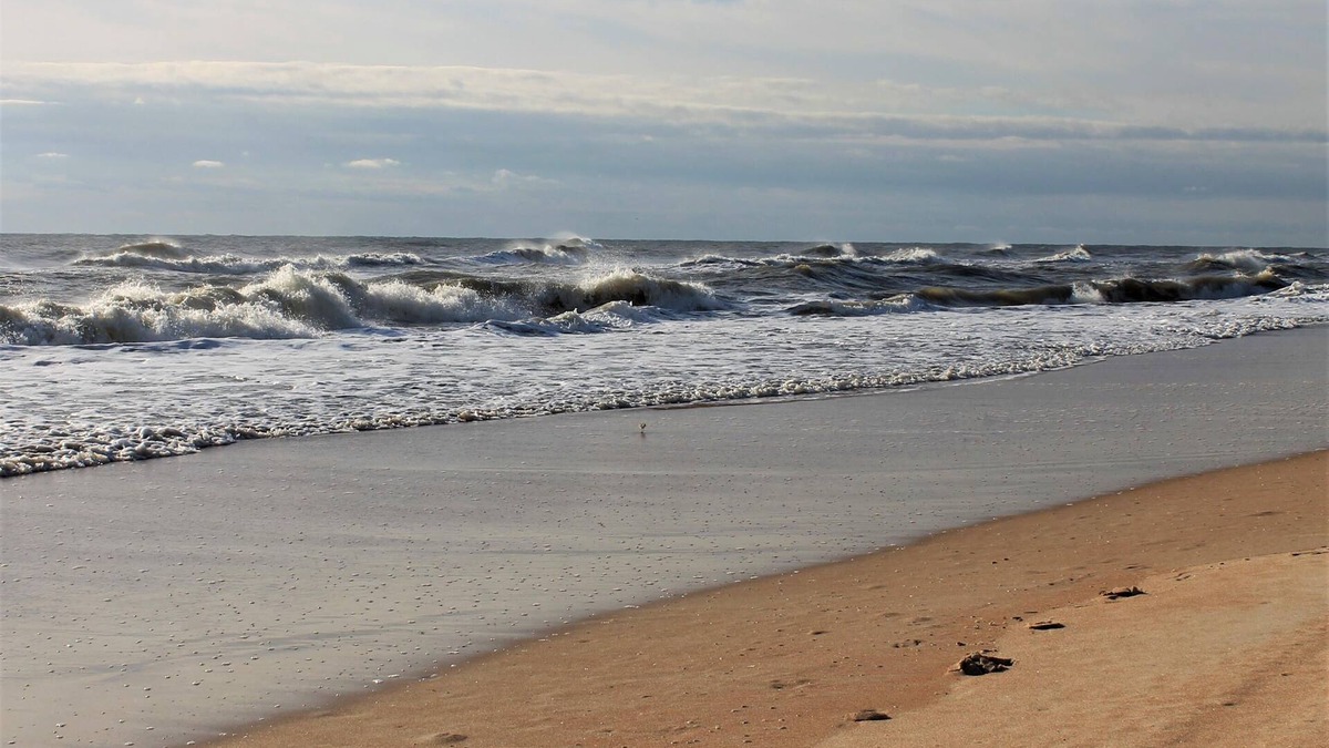 Ormond-by-the-Sea House | Coastal Home, Private Pool + Short Walk to the Beach!