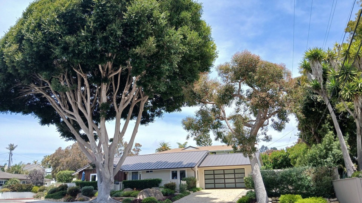 The Mesa House | COASTAL PEARL by the wharf!