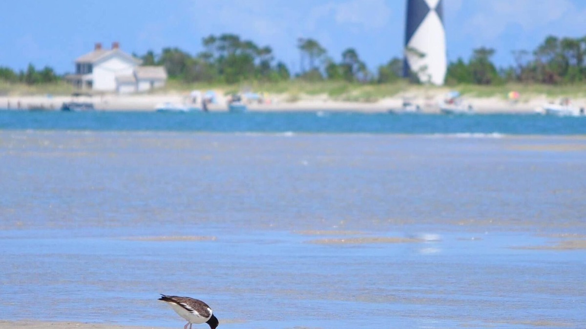 Straits House | Coastal SeaClusion Vacation Rental is located in Down East, Carteret County, NC