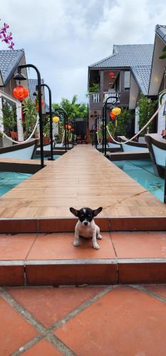 Dien Duong Hotel | Coco Bungalows Hoi An