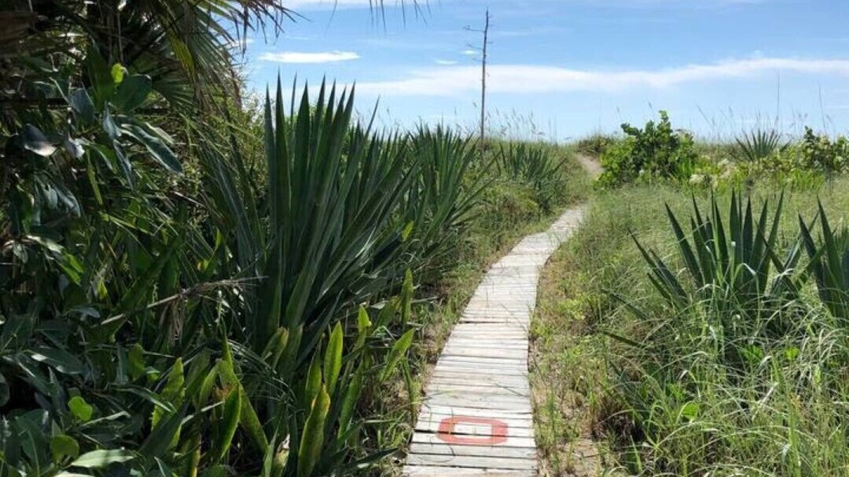 Port Canaveral House | Cocoa Beach The #1 Surf Beach The Mulvaine Beach House