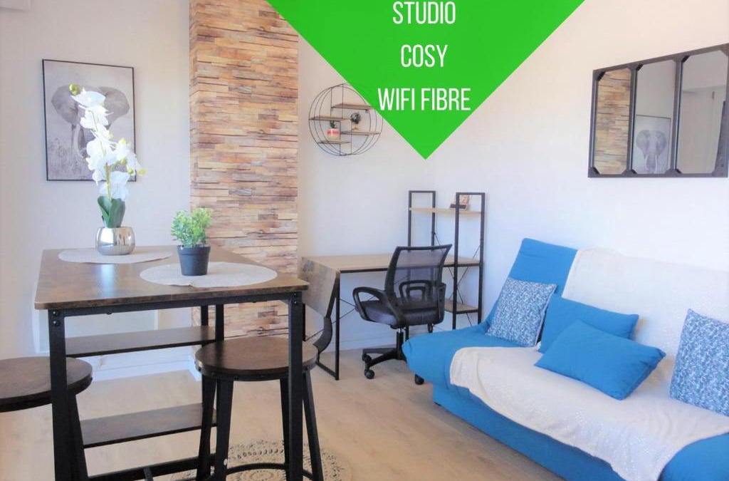 Centre Ville Apartment | Cocon Palois studio cosy dernier étage WIFI Fibre