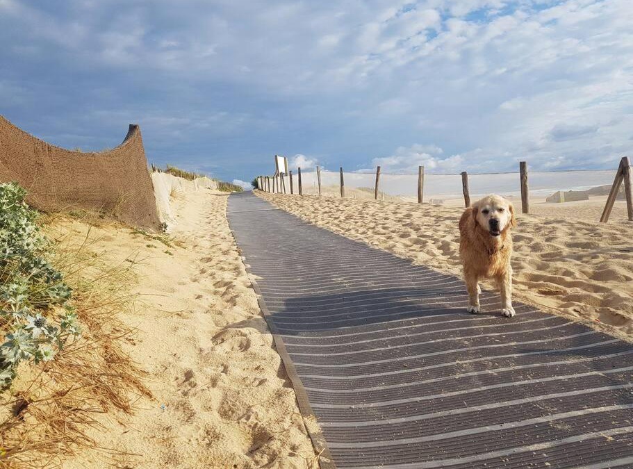 Capbreton Apartment | Cocooning et plages