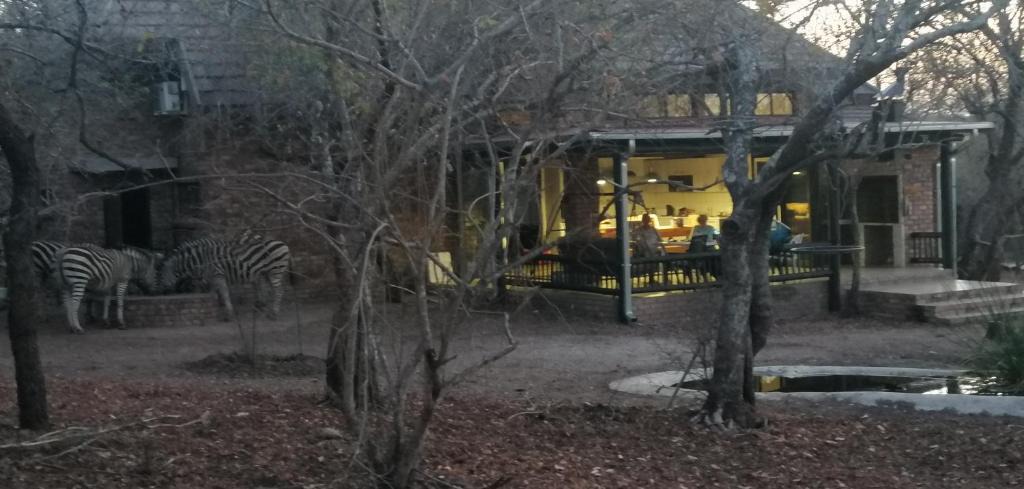 Marloth Park Villa | Coga Cottage - Marloth Park