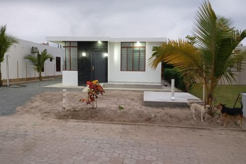 Cojimies Apartment | Cojimies Suite