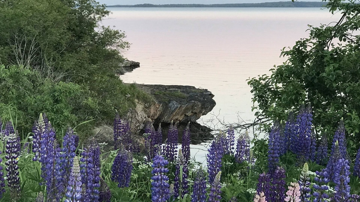 Searsport House | Colcord Cottage- quintessential oceanfront cottage
